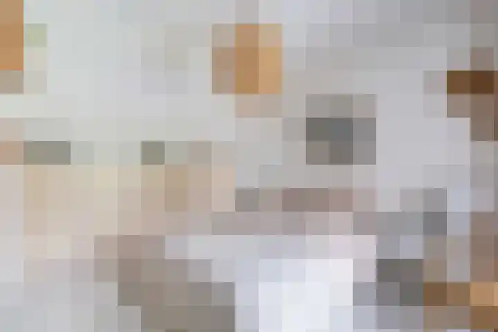 Leigraaf 14 E Klarenbeek thumbnail 32