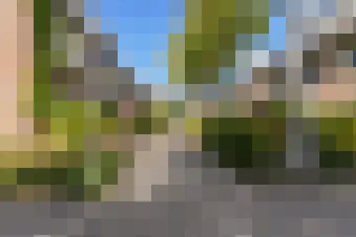 Leijert 20 Boxtel thumbnail 4