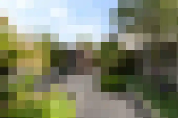 Leijert 20 Boxtel thumbnail 51