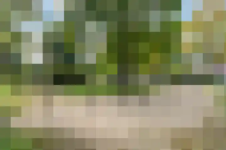 Leijert 20 Boxtel thumbnail 56