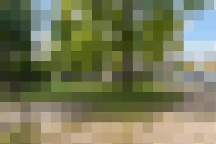 Leijert 20 Boxtel thumbnail 57