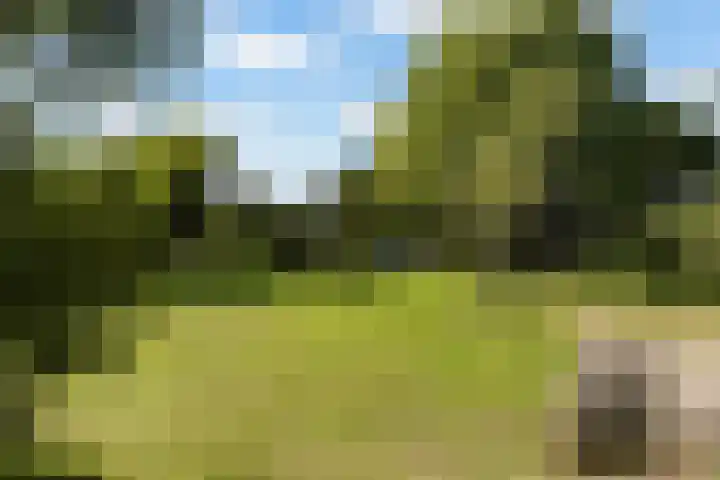 Leijert 20 Boxtel thumbnail 58
