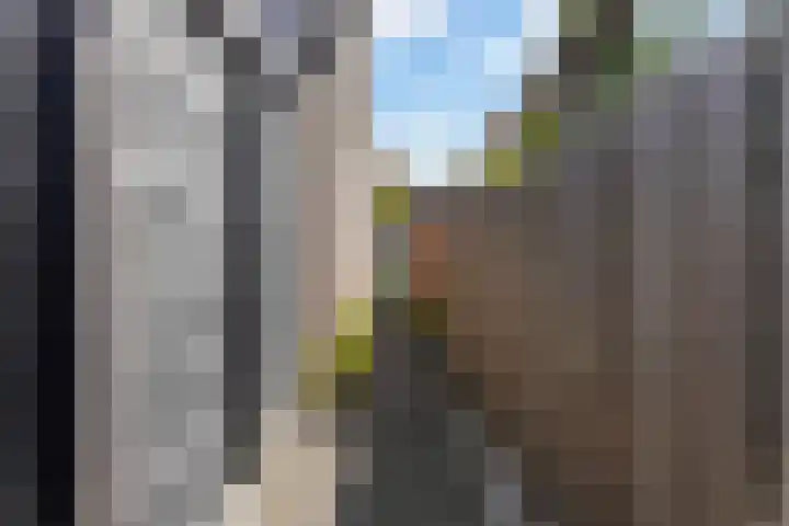 Leijert 20 Boxtel thumbnail 59