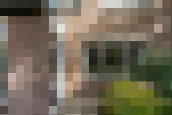 Leijert 20 Boxtel thumbnail 6