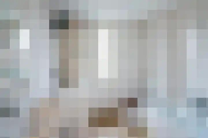 Leijgraaf 214 Belfeld thumbnail 20