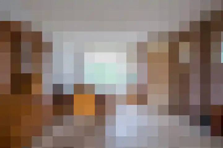 Leijgraaf 214 Belfeld thumbnail 7