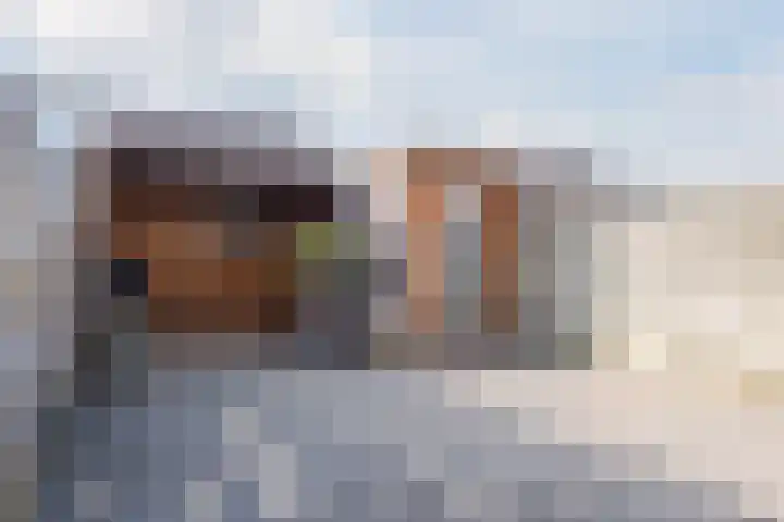 Leijhof 2 Almere thumbnail 44