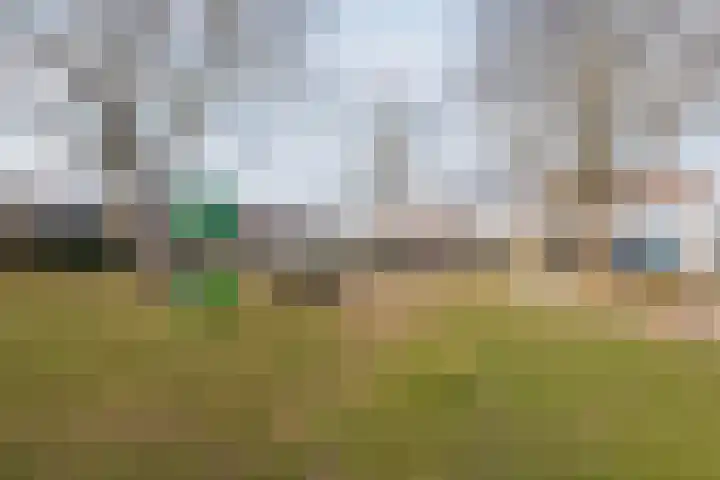 Leijhof 2 Almere thumbnail 49