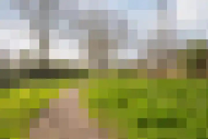 Leijhof 2 Almere thumbnail 50