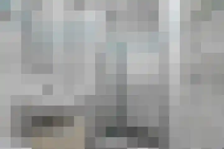 Leimuidenplaats 206 Arnhem thumbnail 20