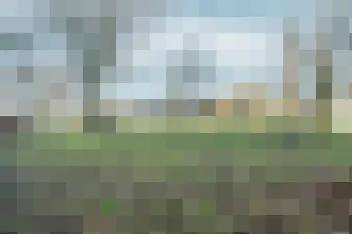 Leimuidenplaats 206 Arnhem thumbnail 26