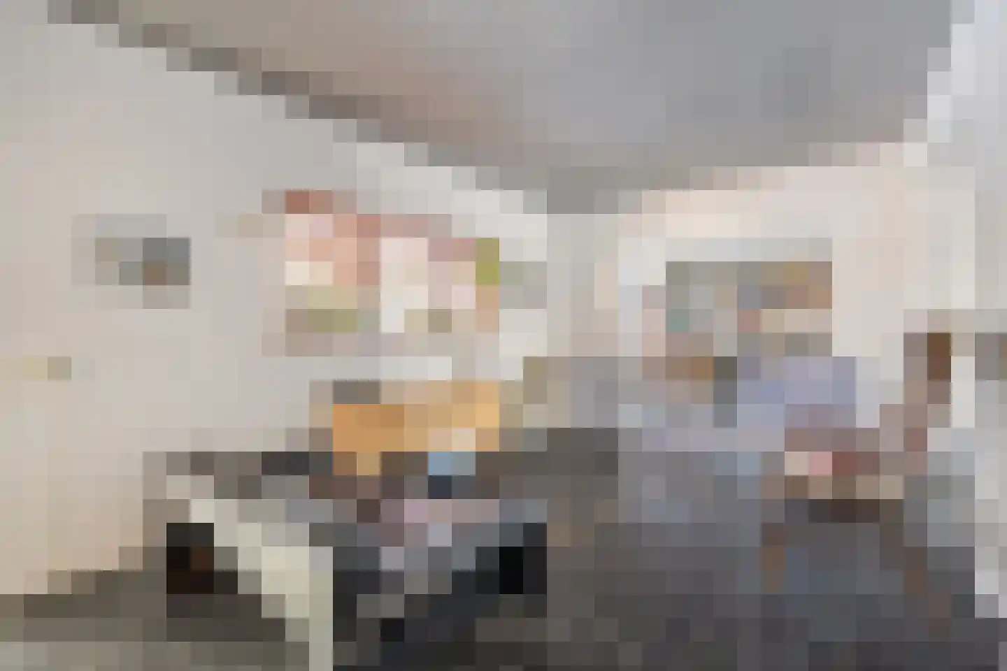 Leimuidenstraat 5 Alem thumbnail 10