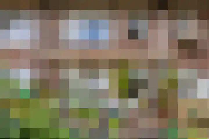 Leimuidenstraat 5 Alem thumbnail 12