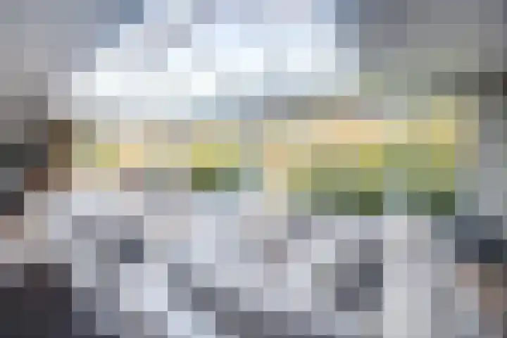 Leimuidenstraat 5 Alem thumbnail 19