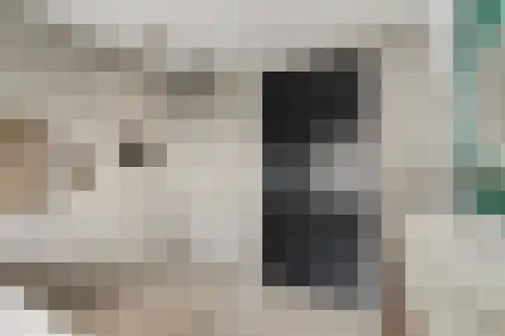 Leimuidenstraat 5 Alem thumbnail 32