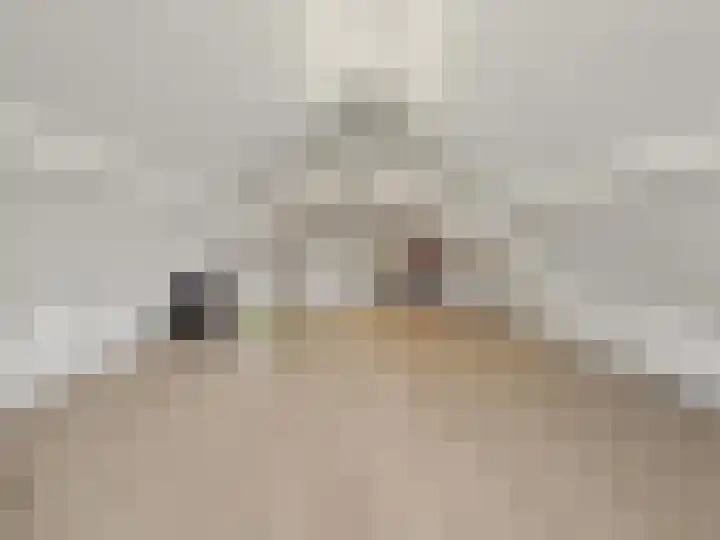 Leimuidenstraat 5 Alem thumbnail 36