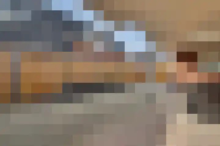 Leimuidenstraat 5 Alem thumbnail 39
