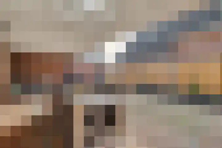 Leimuidenstraat 5 Alem thumbnail 42