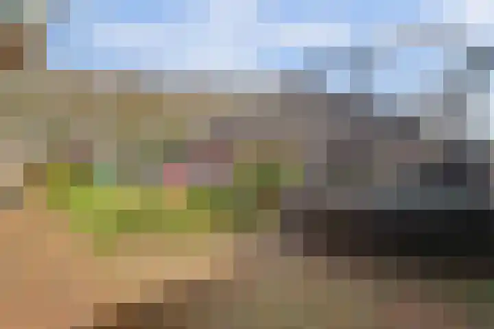 Leimuidenstraat 5 Alem thumbnail 43