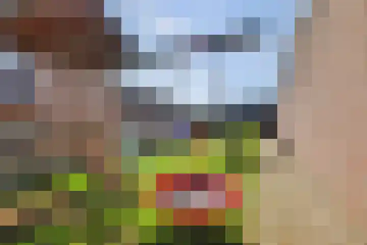 Leimuidenstraat 5 Alem thumbnail 44