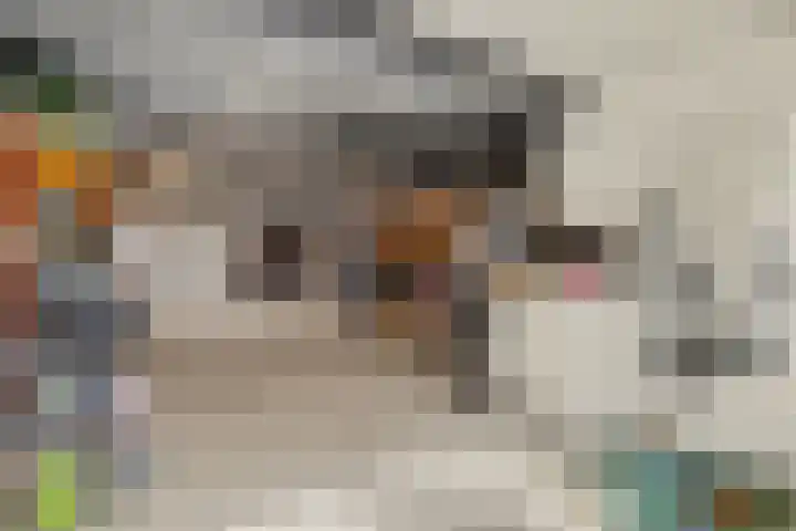 Leimuidenstraat 5 Alem thumbnail 48