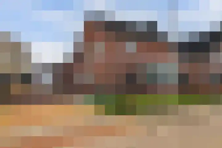 Leimuidenstraat 5 Alem thumbnail 50