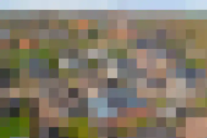 Leimuidenstraat 5 Alem thumbnail 57