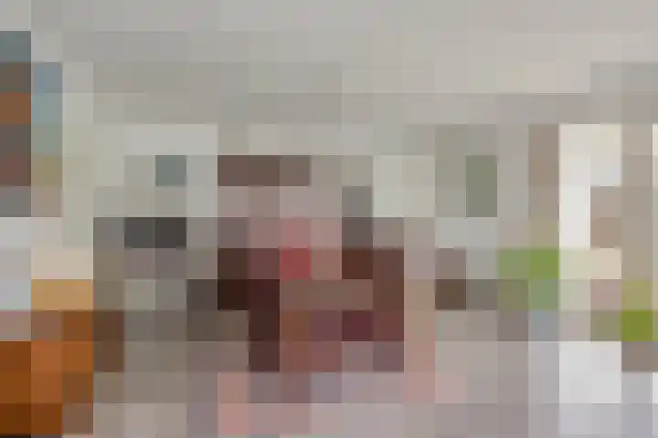 Leisteen 1 Zeeland thumbnail 10