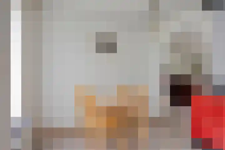Leisteen 1 Zeeland thumbnail 15