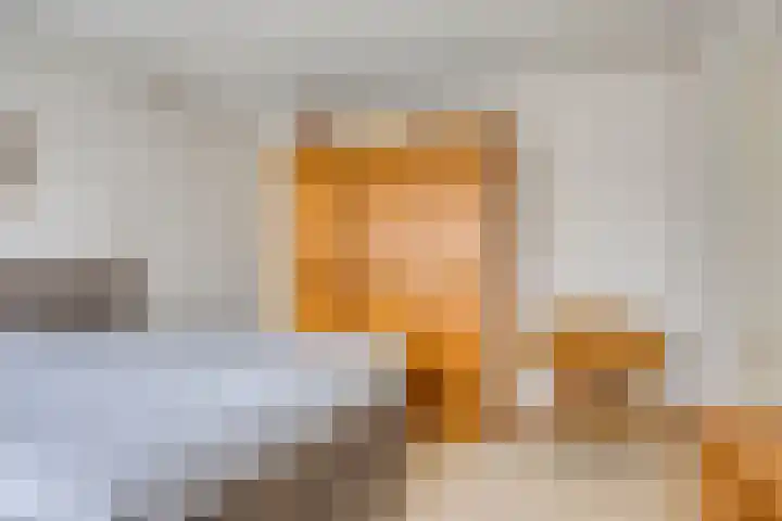 Leisteen 1 Zeeland thumbnail 19