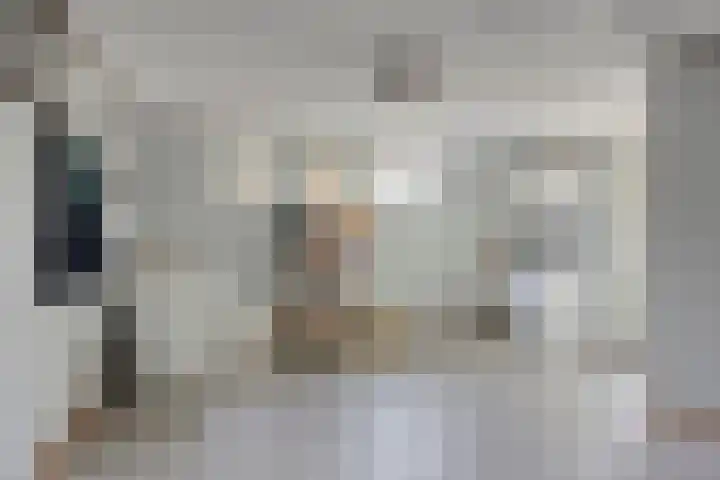 Leisteen 1 Zeeland thumbnail 23