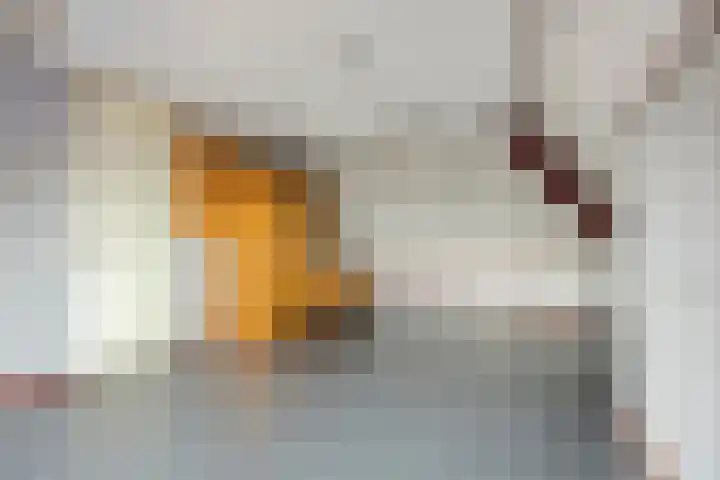 Leisteen 1 Zeeland thumbnail 26