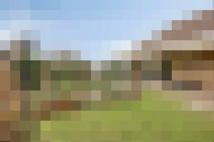 Leisteen 1 Zeeland thumbnail 30