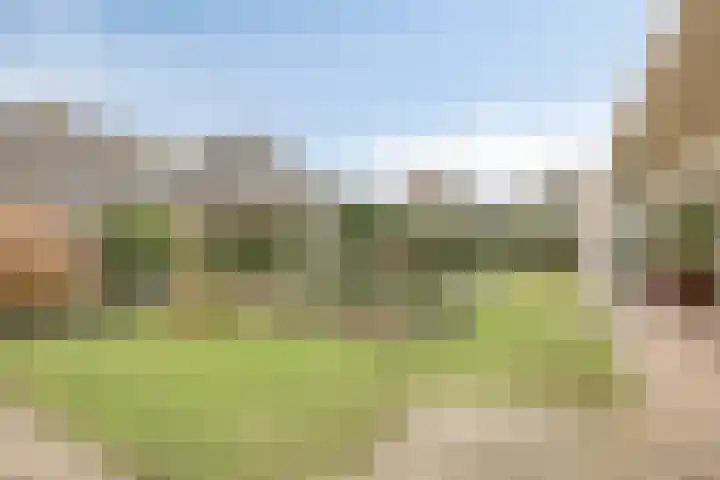 Leisteen 1 Zeeland thumbnail 31