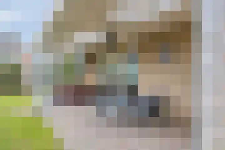 Leisteen 1 Zeeland thumbnail 32