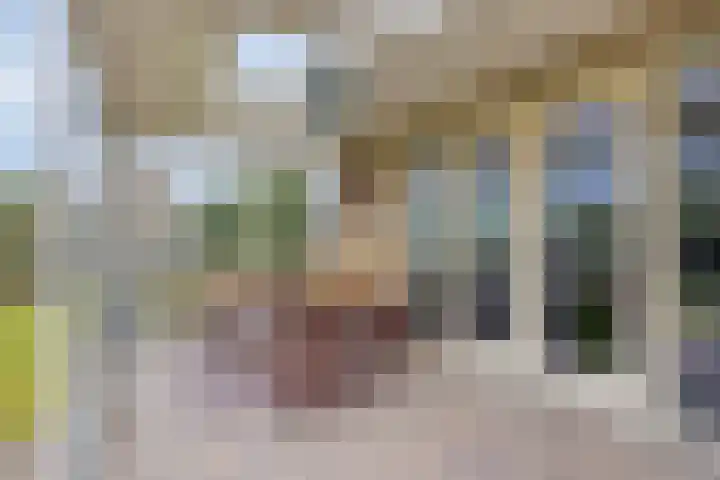 Leisteen 1 Zeeland thumbnail 33