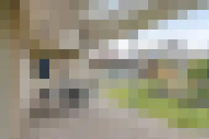 Leisteen 1 Zeeland thumbnail 34