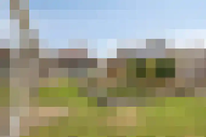 Leisteen 1 Zeeland thumbnail 35