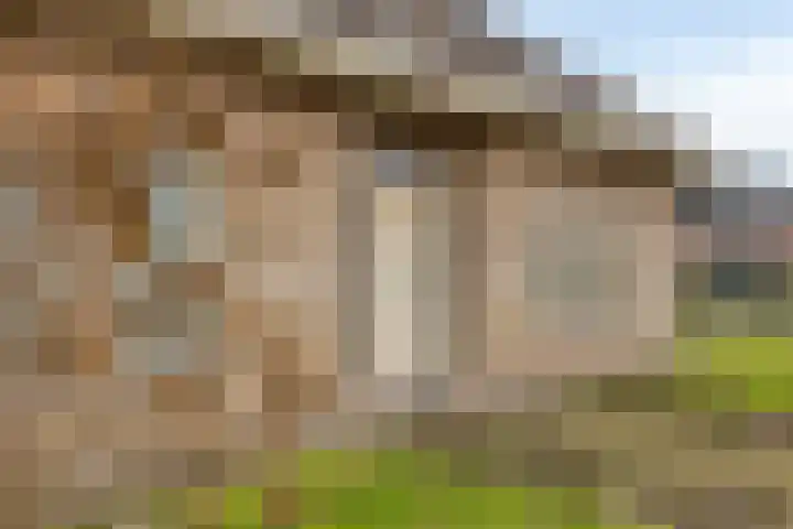 Leisteen 1 Zeeland thumbnail 5