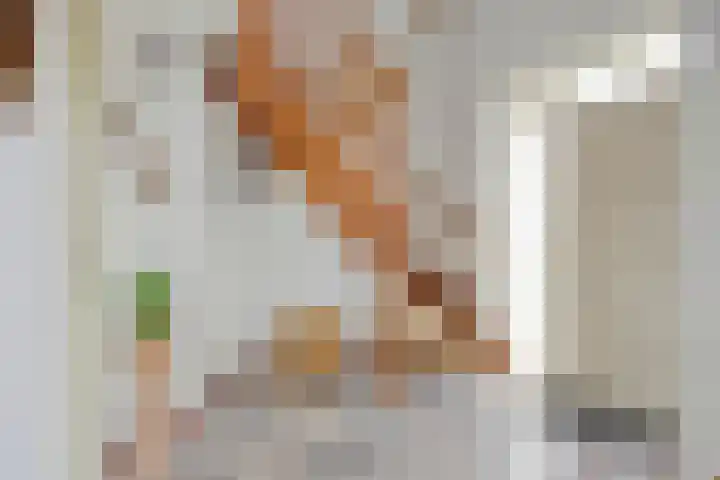 Leisteen 1 Zeeland thumbnail 6
