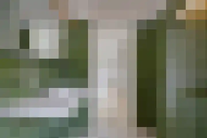 Leiwater 55 Zoetermeer thumbnail 31