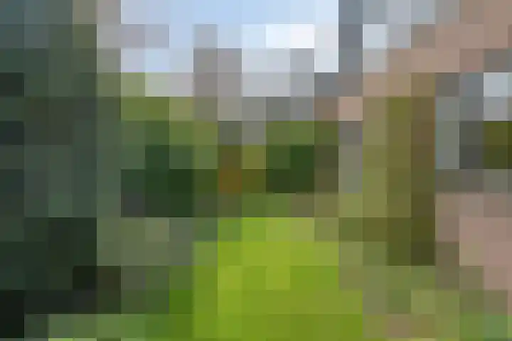 Leiwater 55 Zoetermeer thumbnail 5