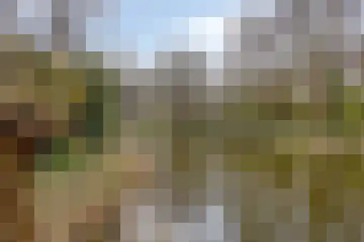 Leiwater 55 Zoetermeer thumbnail 52