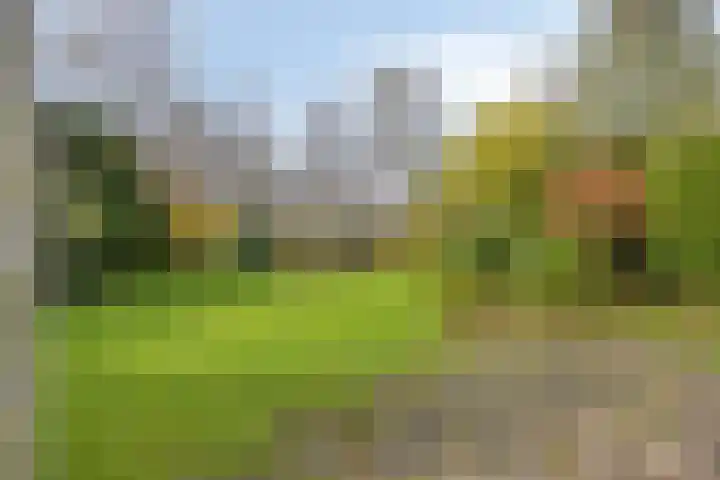 Leiwater 55 Zoetermeer thumbnail 55