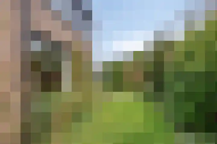Leiwater 55 Zoetermeer thumbnail 6