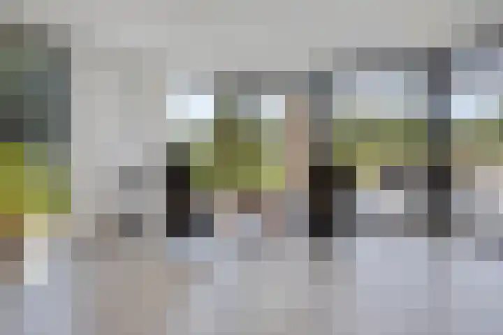 Leiweg 17 Geffen thumbnail 12