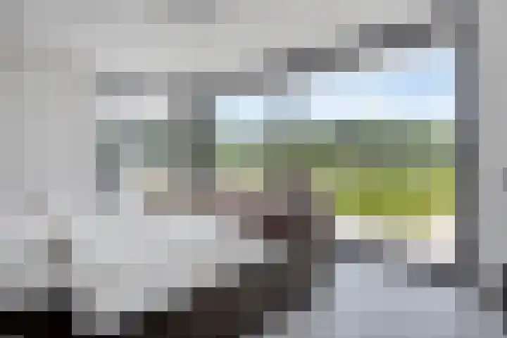 Leiweg 17 Geffen thumbnail 22