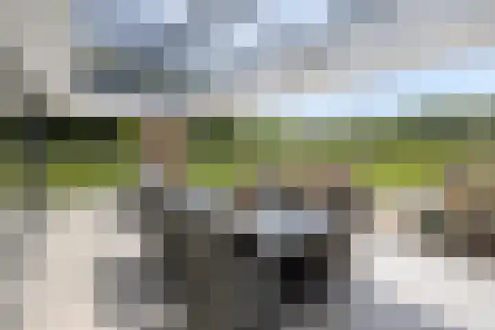 Leiweg 17 Geffen thumbnail 4
