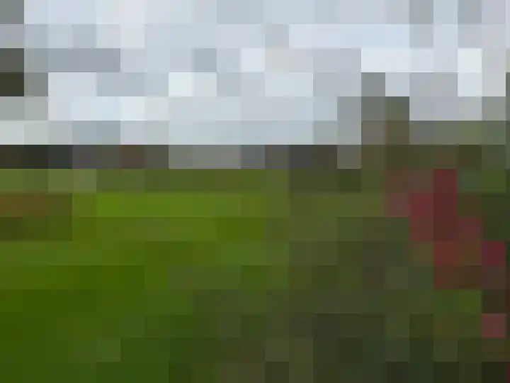 Leiweg 17 Geffen thumbnail 44