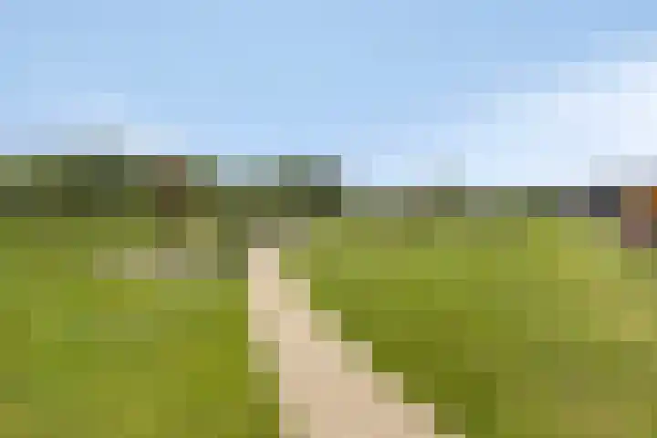 Leiweg 17 Geffen thumbnail 47